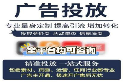 成功运用SEM服务实现品牌推广的案例分析